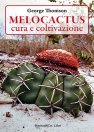 Cactus & Co. Melocactus, cura e coltivazione